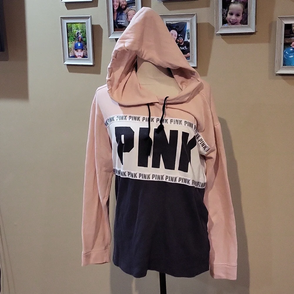 Victoria's Secret PINK Hoodie - Picture 1 of 12
